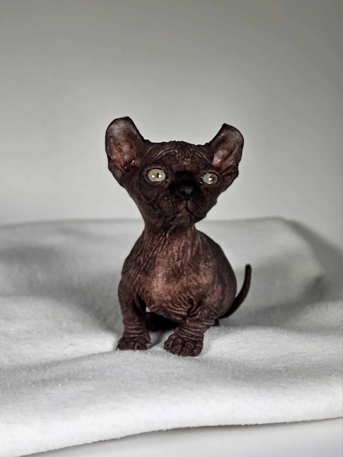 Nimbus