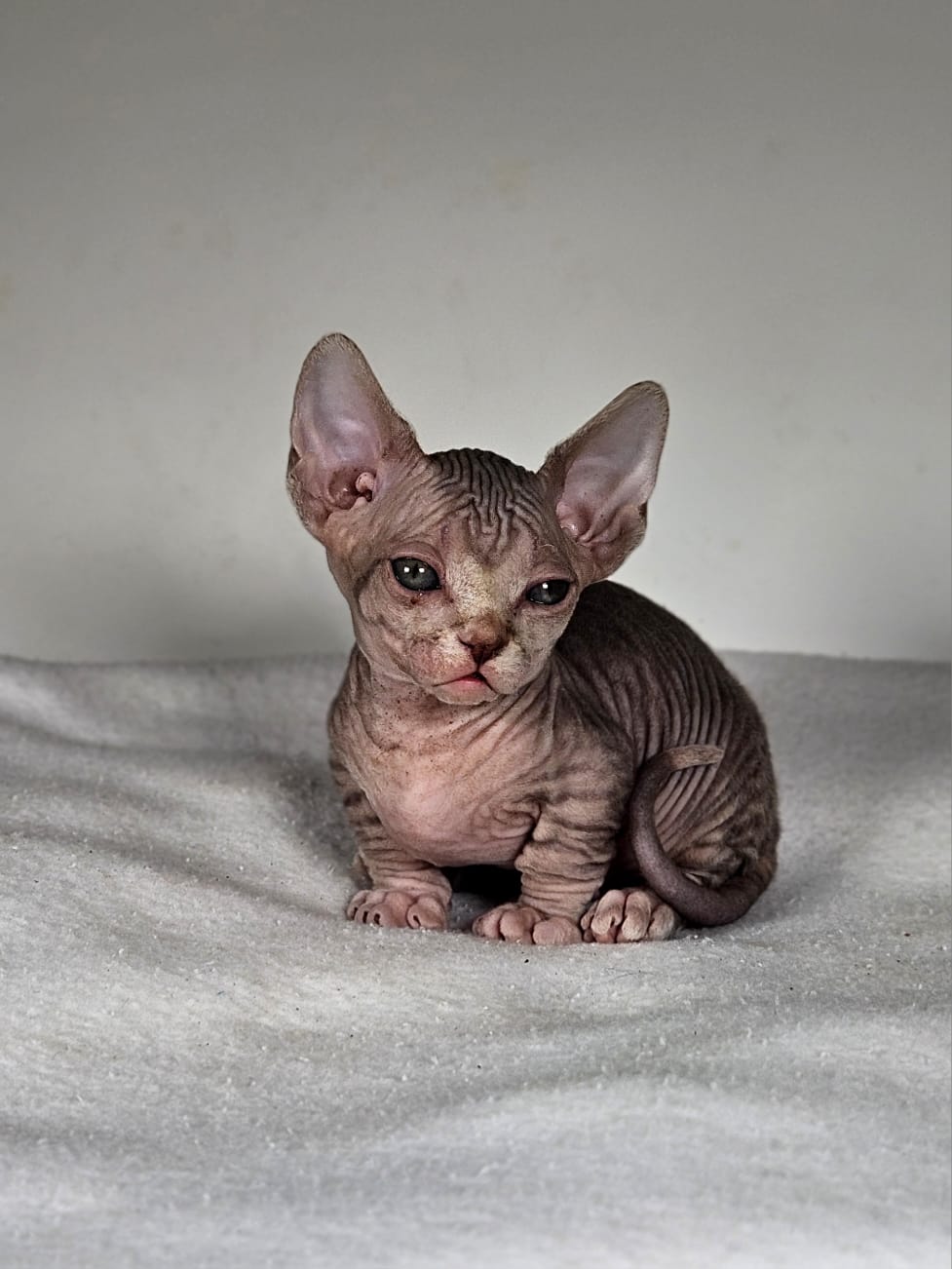 Oliver