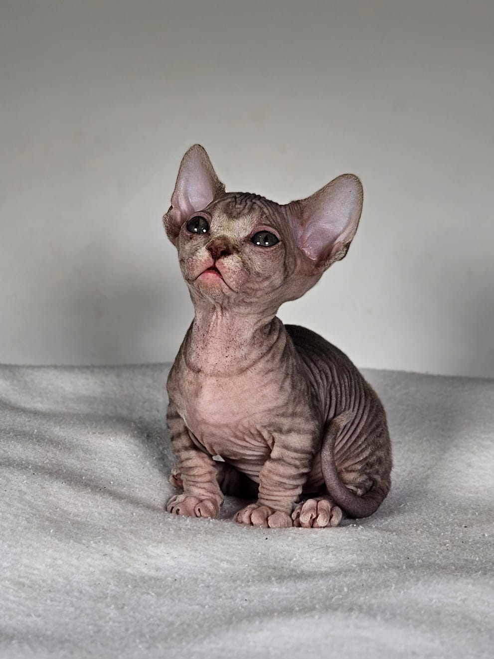 Oliver