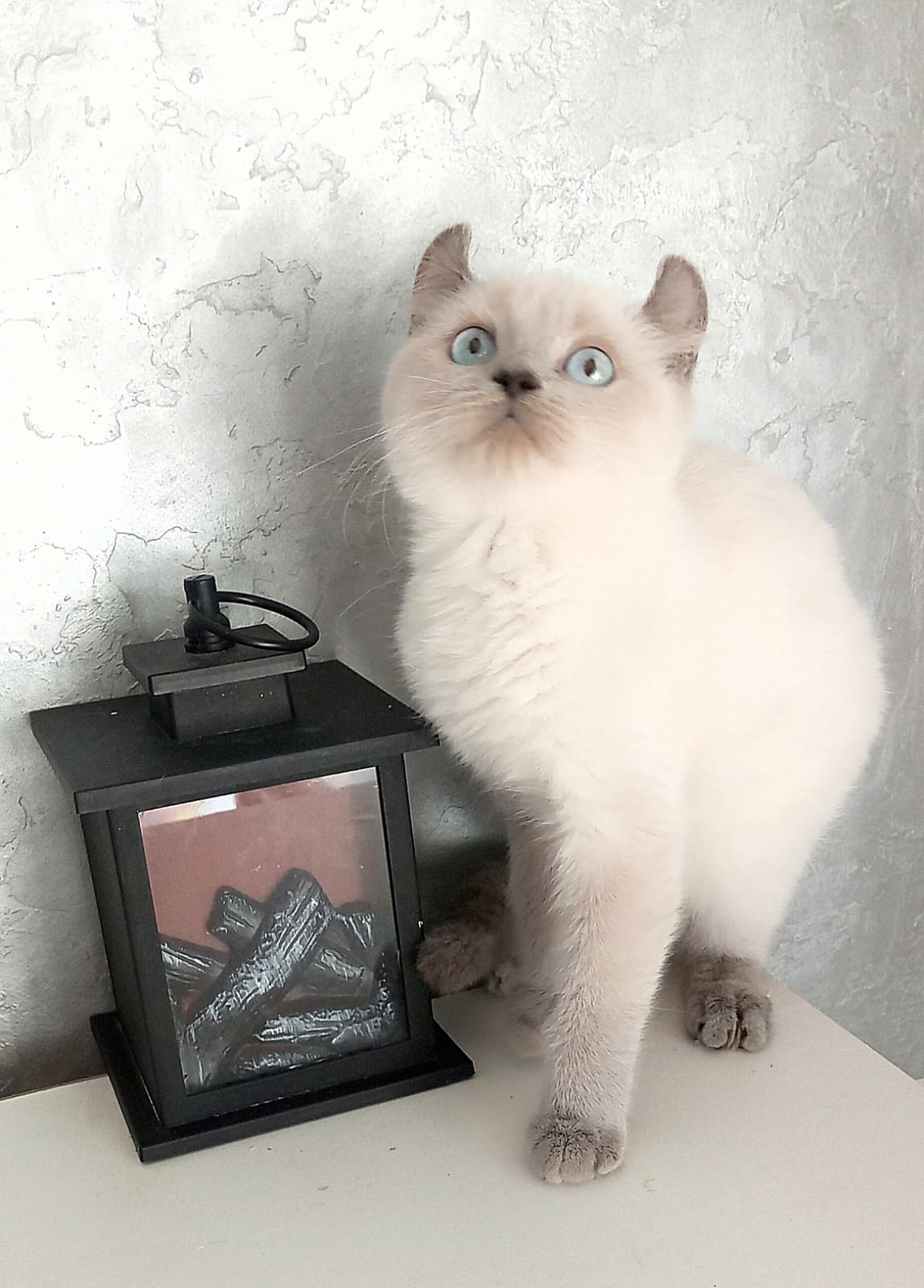 Luna