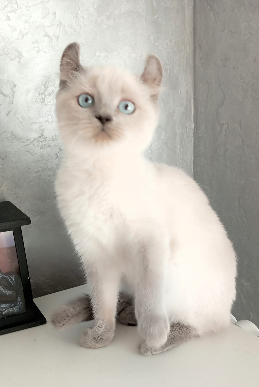 Luna