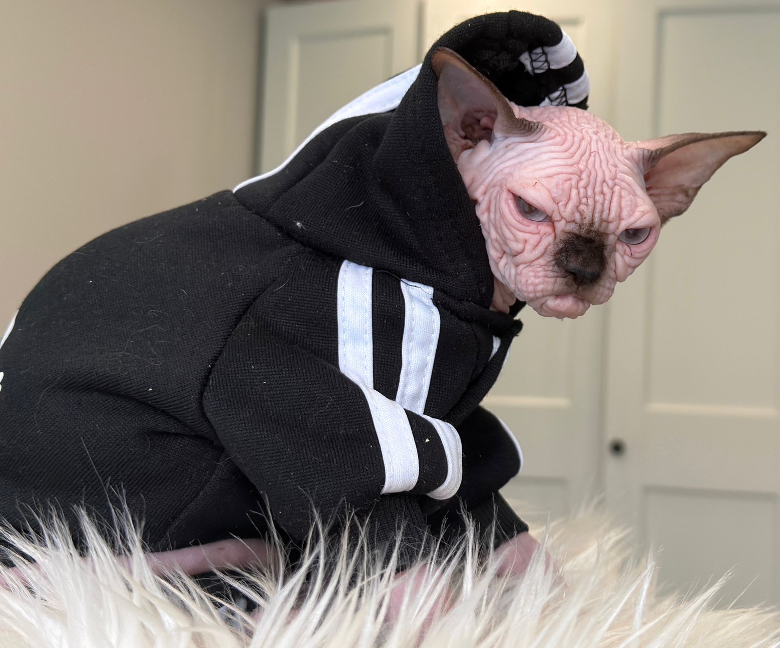 .